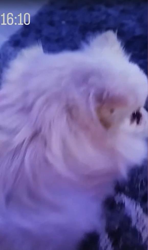 Screenshot 2025-02-08 212341.png