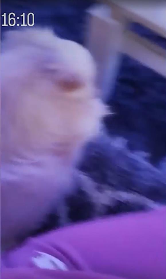 Screenshot 2025-02-08 212300.png