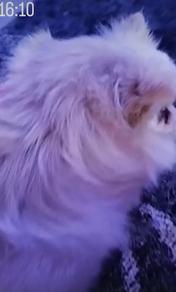 Screenshot 2025-02-08 212247.png