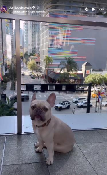 Screenshot 2025-02-08 223645.png