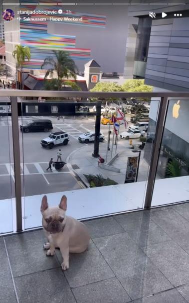 Screenshot 2025-02-08 223639.png