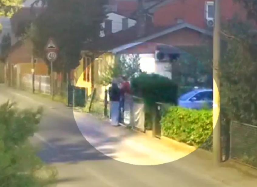 2025-02-10 09_52_36-Media Player.png