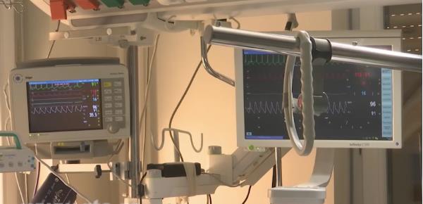 Transplantacija 9.png