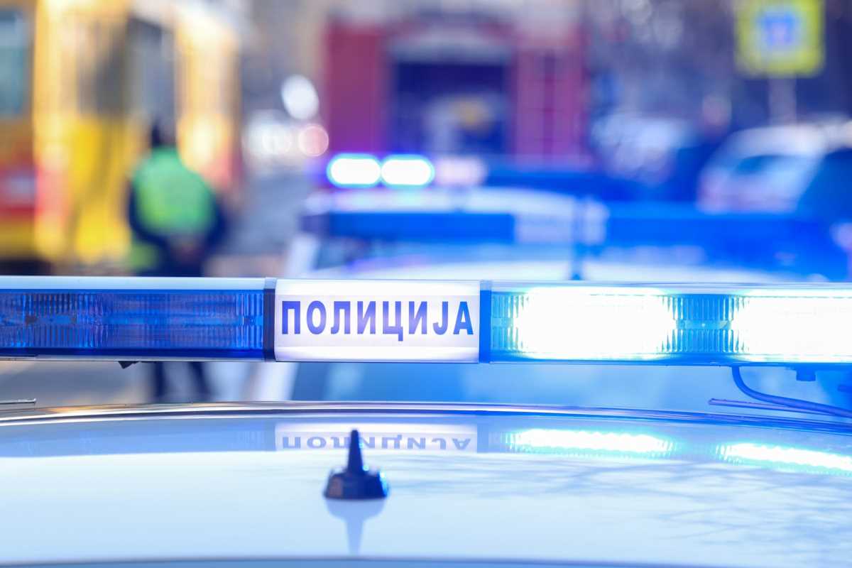 WhatsApp Image 2025-02-13 at 13.59.55_daacca54.jpg