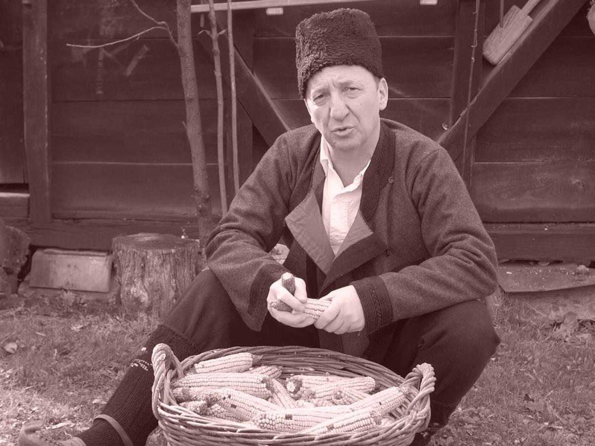 LOZNICA - Zoran Grujić - Srbijo duso moja.jpg