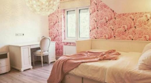 ESTRADA ZGRĆE LOVU OD PRIVATNIH BIZNISA: Hoteli, moteli i kafane, izdavanje luks vila, a on je pravi kralj nekretnina
