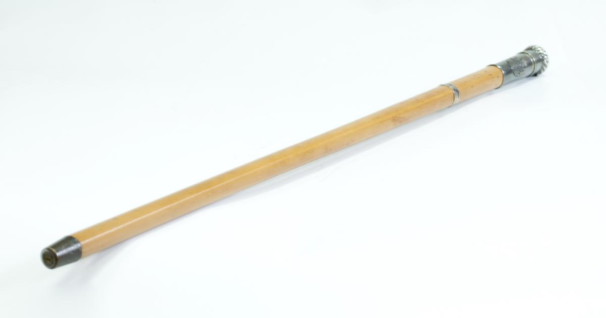 Штап са биноклом у дршци Фото Ива Јотић Лубура.jpg