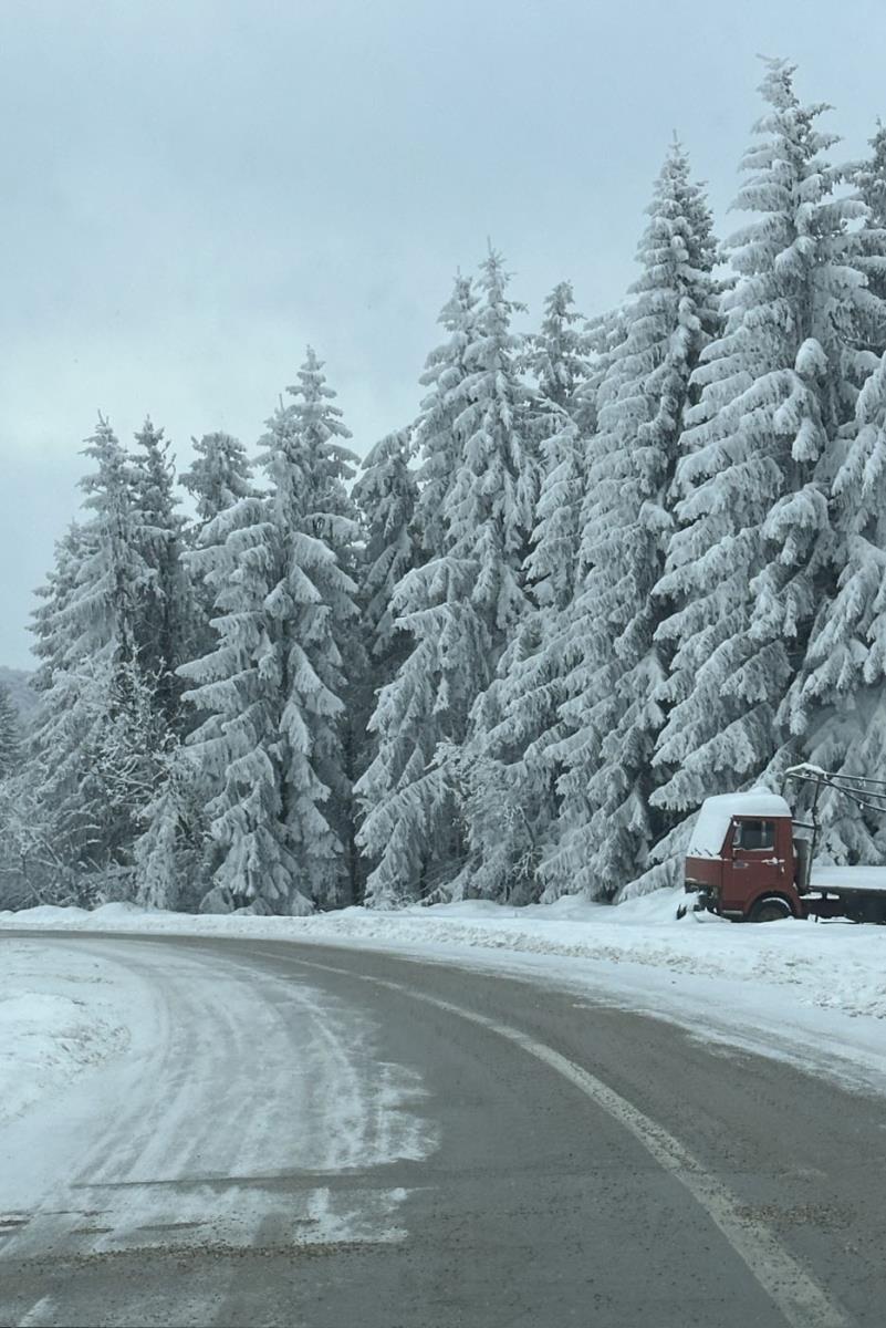 WhatsApp Image 2025-02-20 at 9.25.49 AM.jpeg