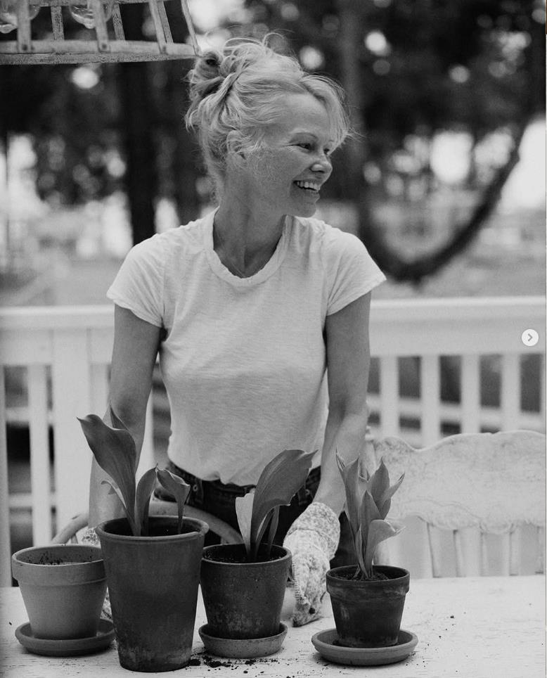 Screenshot 2025-02-21 085927.png