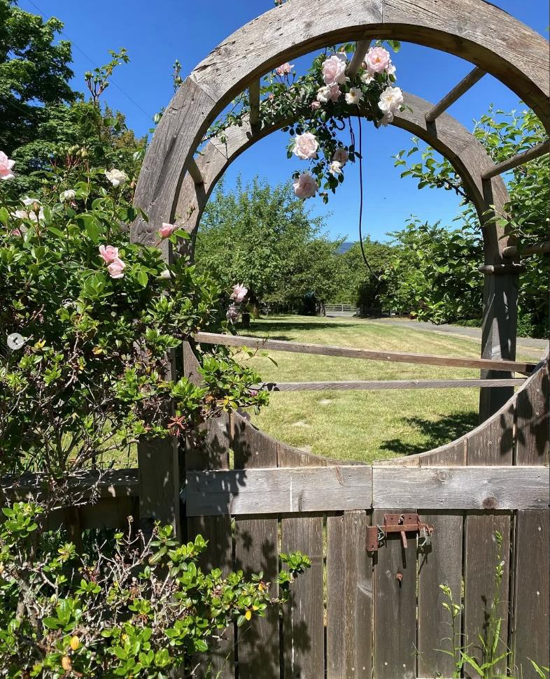 Screenshot 2025-02-21 085947.png