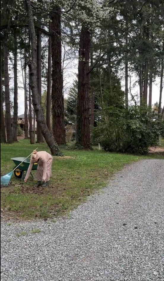 Screenshot 2025-02-21 090013.png