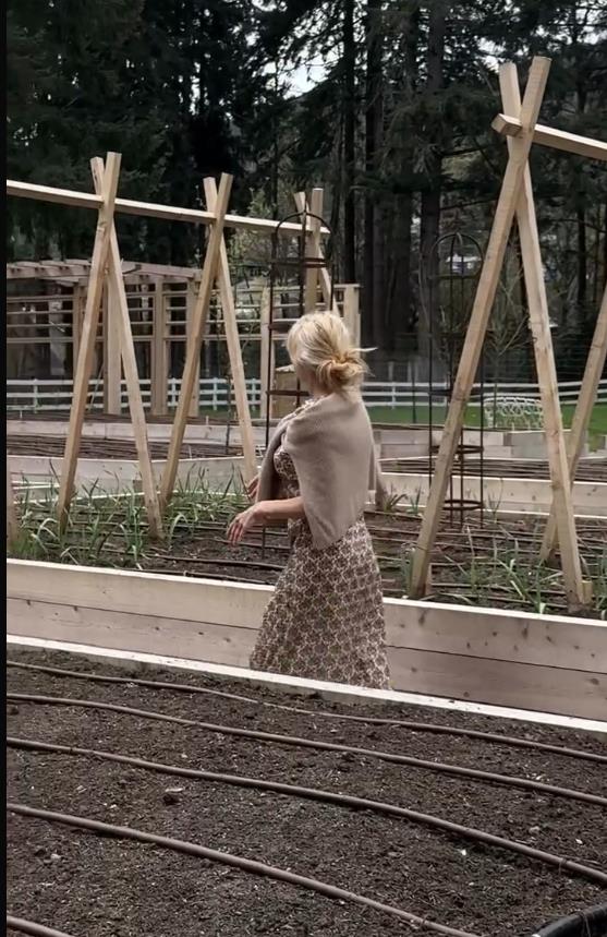 Screenshot 2025-02-21 090022.png