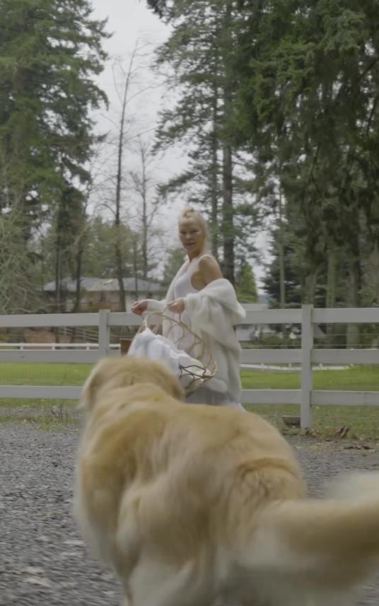 Screenshot 2025-02-21 090134.png