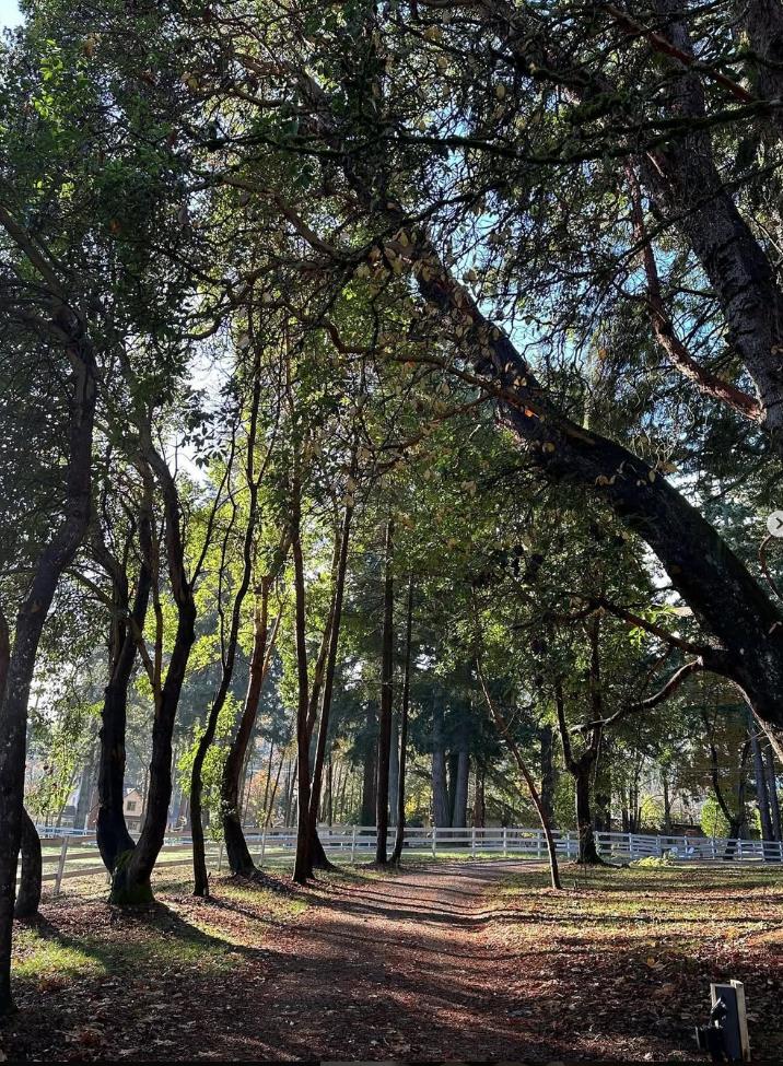 Screenshot 2025-02-21 090217.png