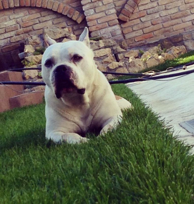 2025-02-22 12_29_02-Instagram.jpg