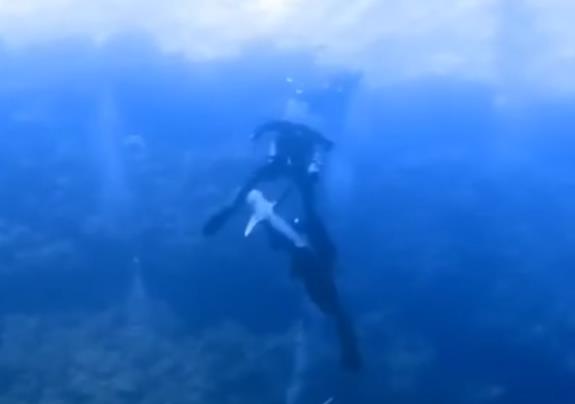 Screenshot 2025-02-23 215607.jpg