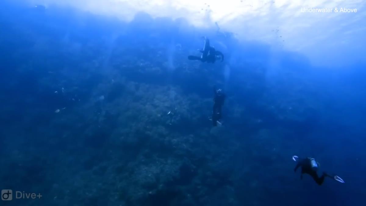 Screenshot 2025-02-23 215534.png