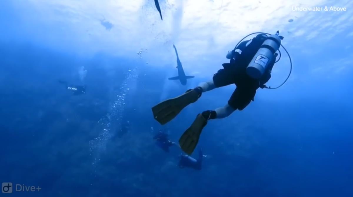 Screenshot 2025-02-23 215506.png