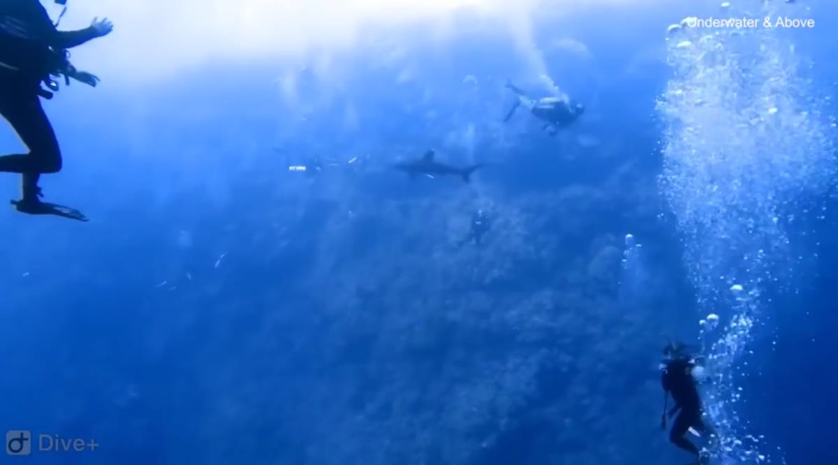 Screenshot 2025-02-23 215453.png