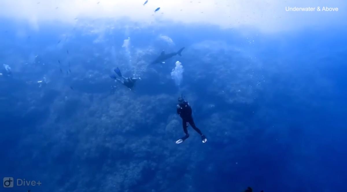 Screenshot 2025-02-23 215438.png