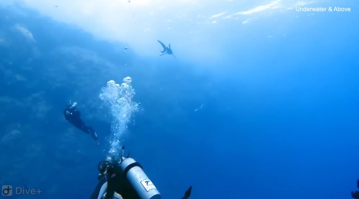 Screenshot 2025-02-23 215425.png