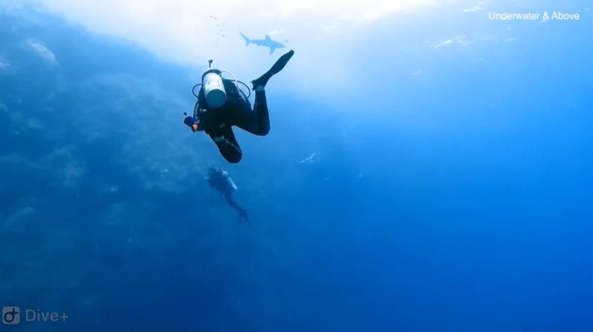 Screenshot 2025-02-23 215418.png