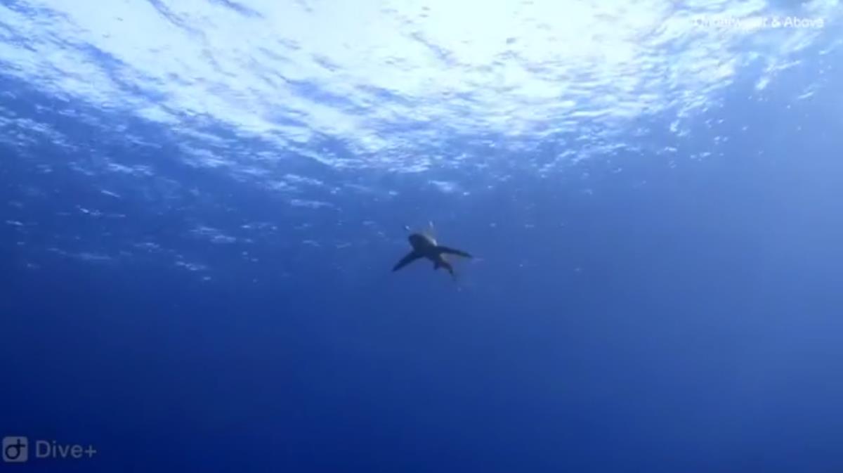 Screenshot 2025-02-23 215351.png