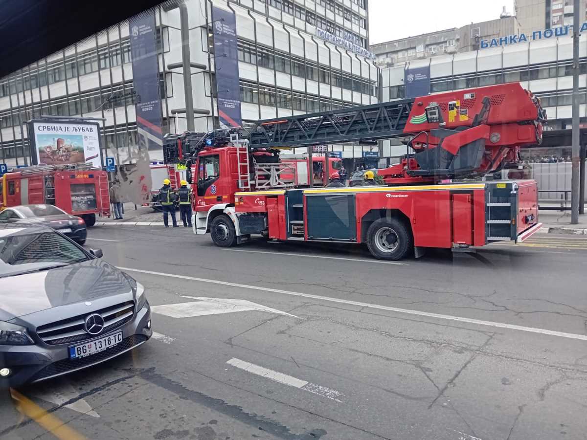 WhatsApp Image 2025-02-24 at 08.03.14_0f36a4de.jpg