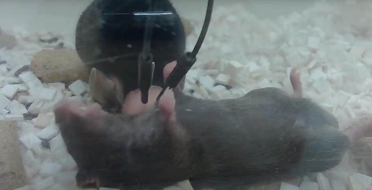 Screenshot 2025-02-24 175658.png