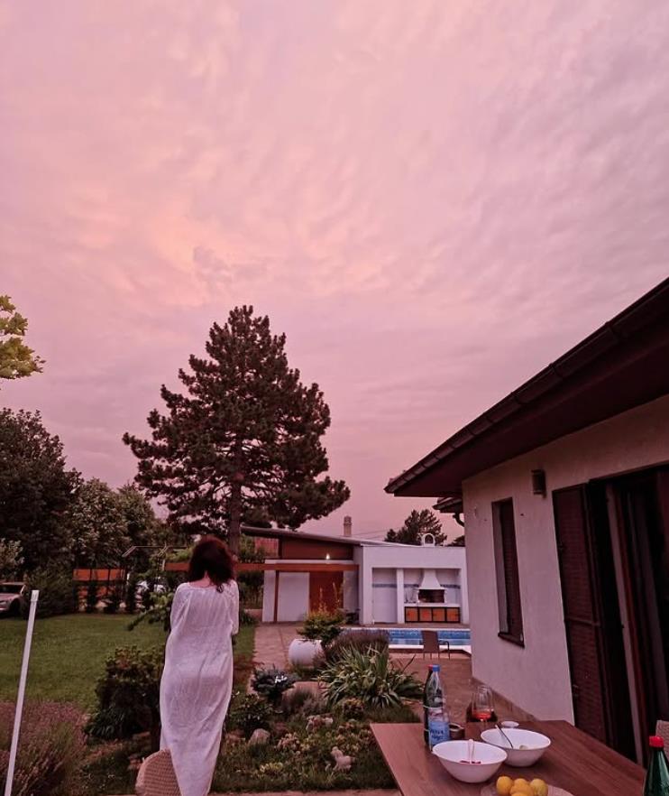 Sloboda Mićalović 3.png