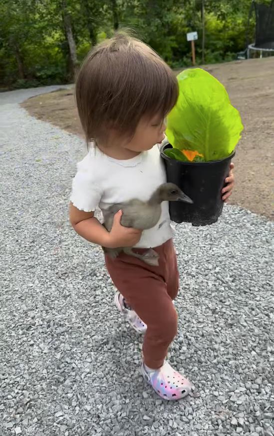 Screenshot 2025-02-25 092837.jpg