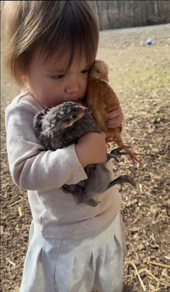 Screenshot 2025-02-25 092854.png