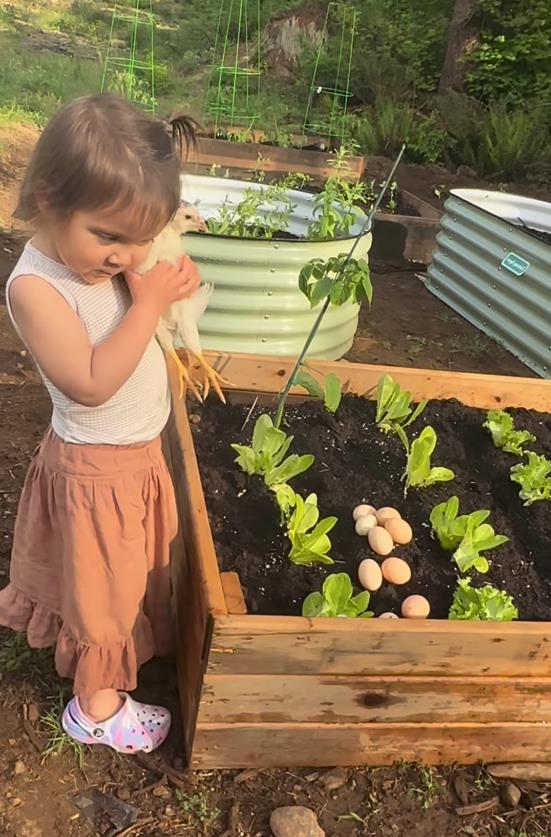 Screenshot 2025-02-25 092904.png