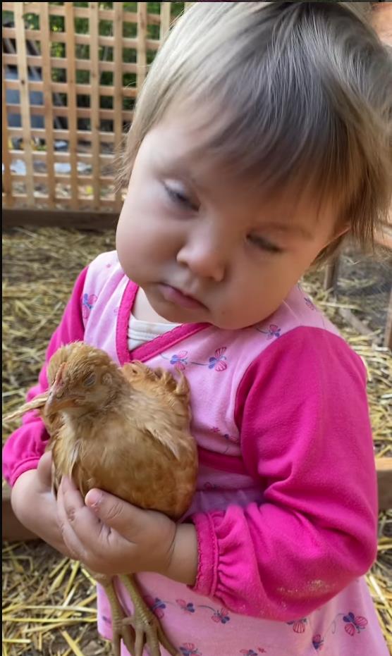 Screenshot 2025-02-25 092918.png