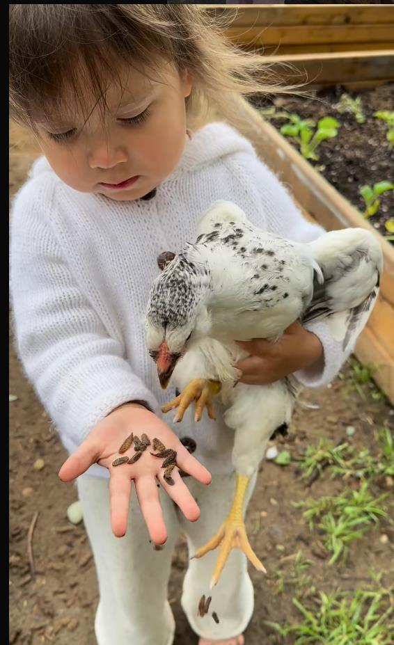 Screenshot 2025-02-25 092938.png