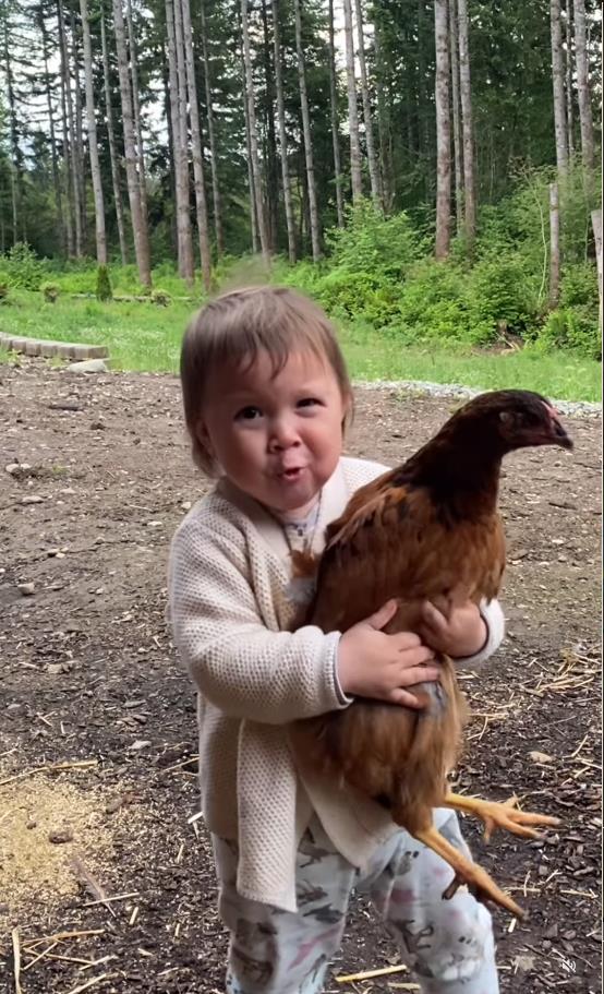 Screenshot 2025-02-25 092956.png