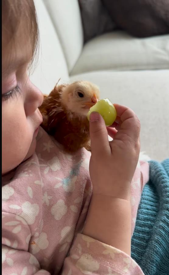 Screenshot 2025-02-25 093020.png