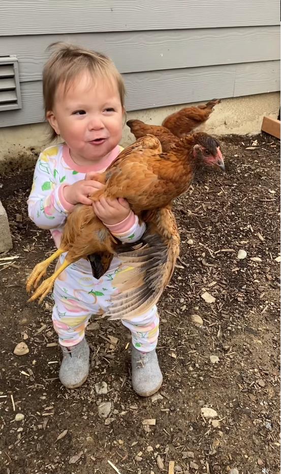 Screenshot 2025-02-25 093042.png