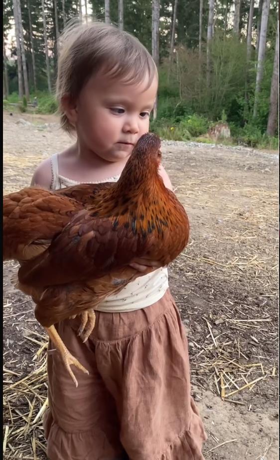 Screenshot 2025-02-25 093112.png