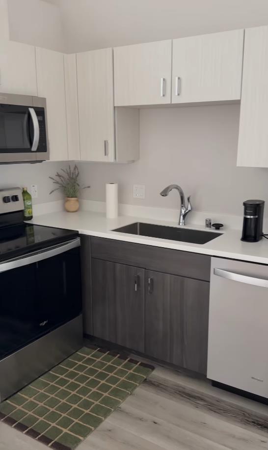 Screenshot 2025-02-25 114819.png