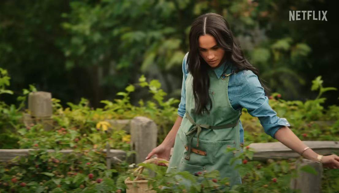 Screenshot 2025-02-25 141755.jpg