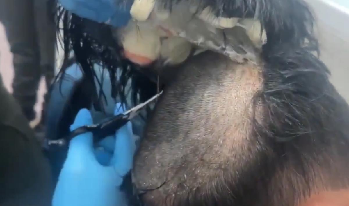 Screenshot 2025-02-25 195256.png