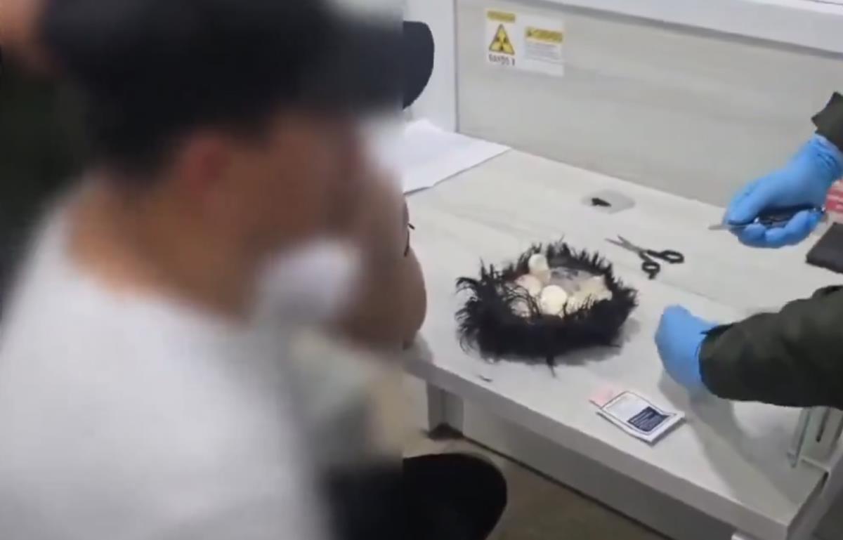 Screenshot 2025-02-25 195311.png