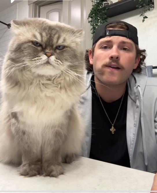 Screenshot 2025-02-26 142828.png