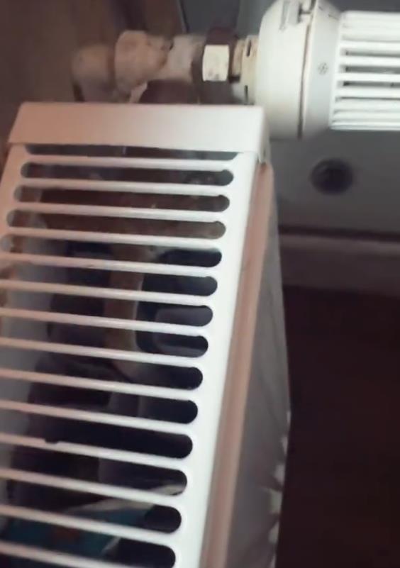 Screenshot 2025-02-26 155446.png