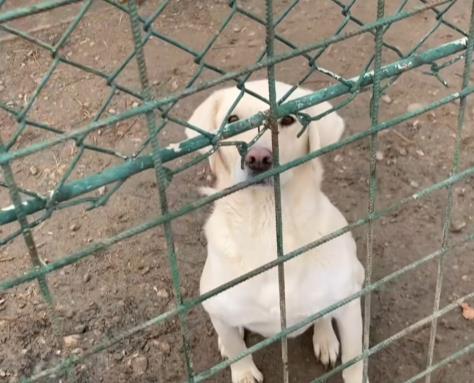 2025-02-27 13_05_43-Facebook.png