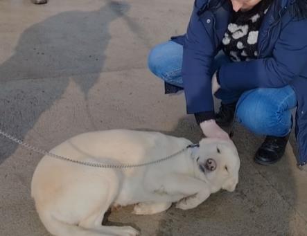 2025-02-27 13_03_49-Facebook.png