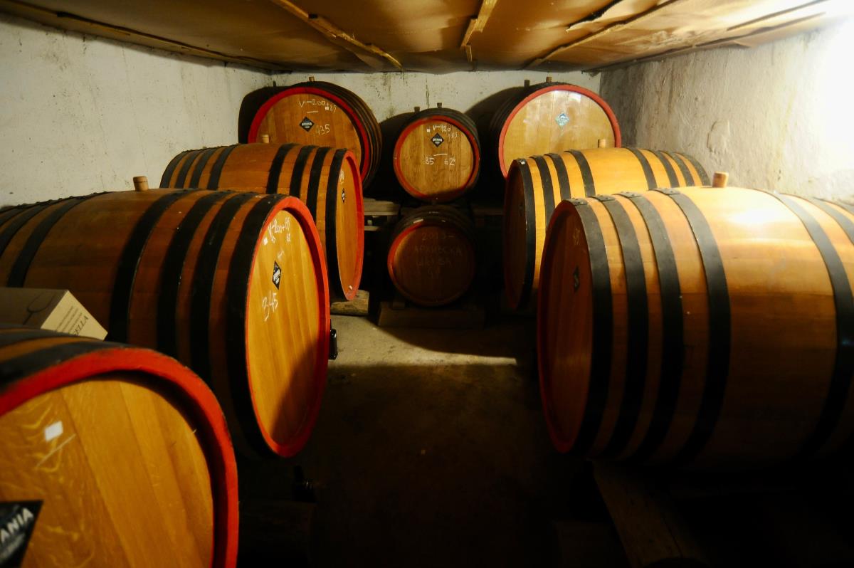 WhatsApp Image 2025-02-28 at 5.39.11 PM.jpeg