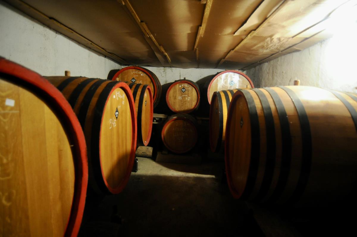 WhatsApp Image 2025-02-28 at 5.39.10 PM.jpeg