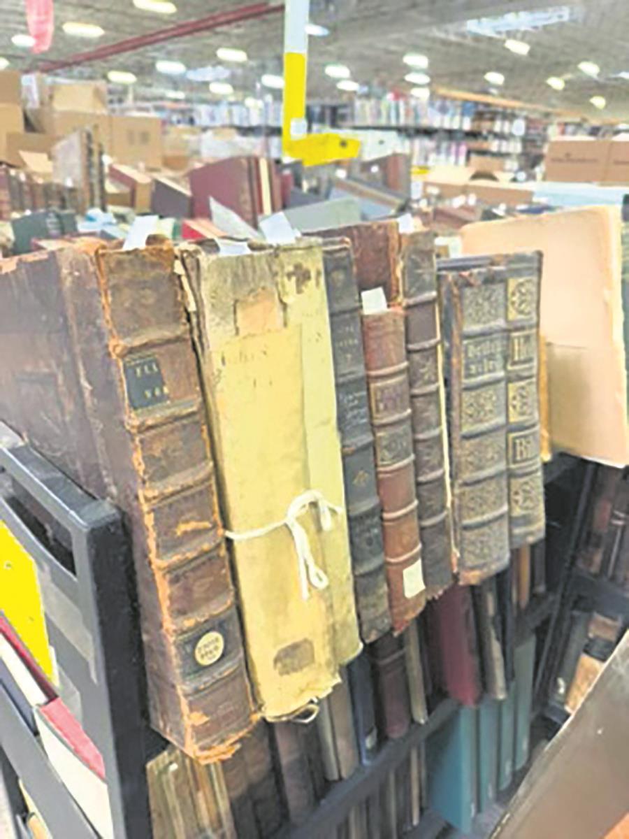 Viktor Lazic (15).jpg